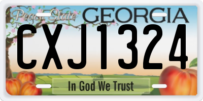 GA license plate CXJ1324