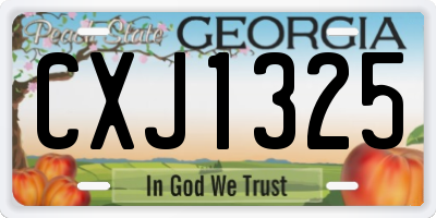 GA license plate CXJ1325