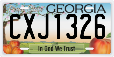 GA license plate CXJ1326