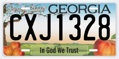 GA license plate CXJ1328