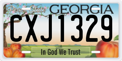 GA license plate CXJ1329