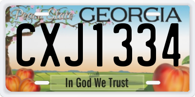 GA license plate CXJ1334