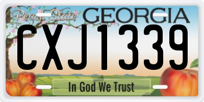 GA license plate CXJ1339