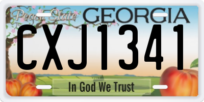 GA license plate CXJ1341