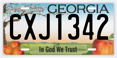 GA license plate CXJ1342