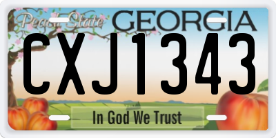 GA license plate CXJ1343