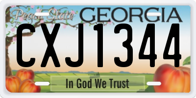 GA license plate CXJ1344
