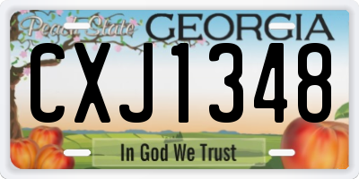 GA license plate CXJ1348
