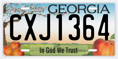GA license plate CXJ1364