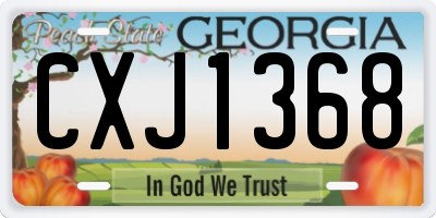 GA license plate CXJ1368