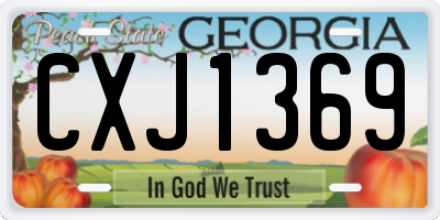 GA license plate CXJ1369