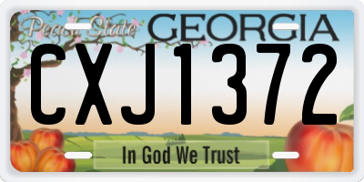 GA license plate CXJ1372
