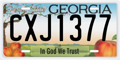 GA license plate CXJ1377