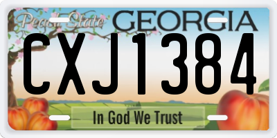 GA license plate CXJ1384