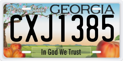 GA license plate CXJ1385