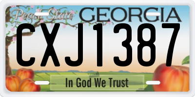 GA license plate CXJ1387