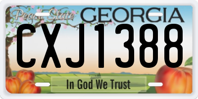 GA license plate CXJ1388