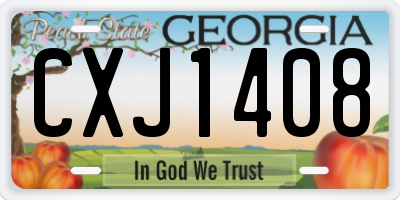 GA license plate CXJ1408