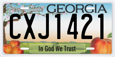 GA license plate CXJ1421