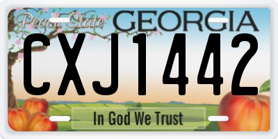 GA license plate CXJ1442