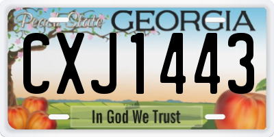 GA license plate CXJ1443