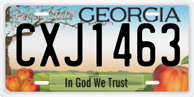 GA license plate CXJ1463