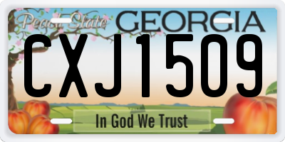 GA license plate CXJ1509