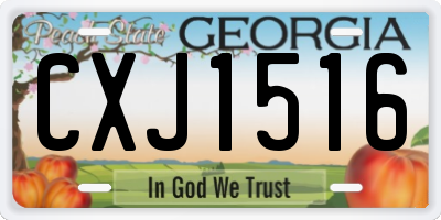 GA license plate CXJ1516