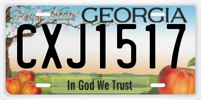 GA license plate CXJ1517
