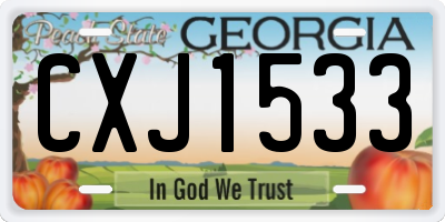GA license plate CXJ1533