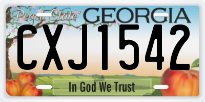 GA license plate CXJ1542