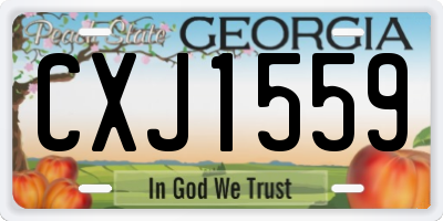GA license plate CXJ1559