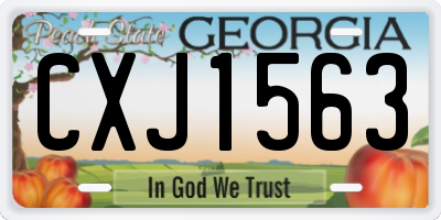GA license plate CXJ1563
