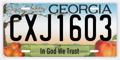 GA license plate CXJ1603
