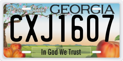 GA license plate CXJ1607