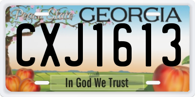 GA license plate CXJ1613