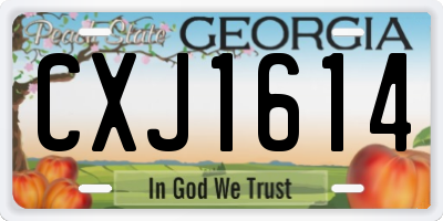 GA license plate CXJ1614