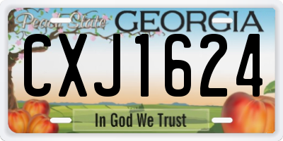 GA license plate CXJ1624