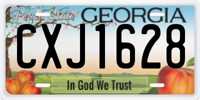 GA license plate CXJ1628