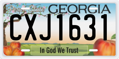 GA license plate CXJ1631