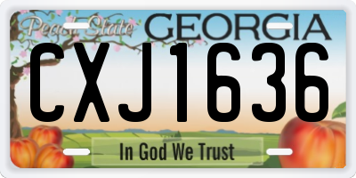 GA license plate CXJ1636