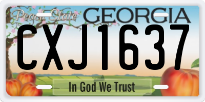 GA license plate CXJ1637