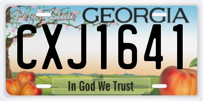 GA license plate CXJ1641