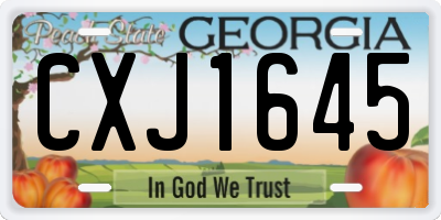 GA license plate CXJ1645