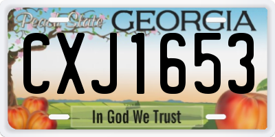 GA license plate CXJ1653
