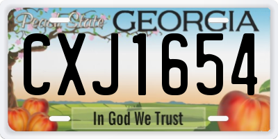 GA license plate CXJ1654