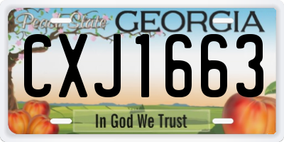 GA license plate CXJ1663