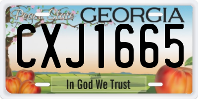 GA license plate CXJ1665
