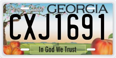 GA license plate CXJ1691