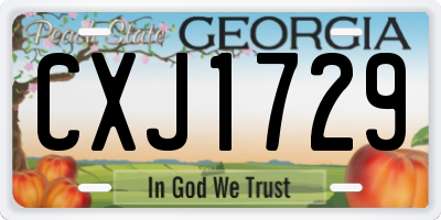 GA license plate CXJ1729